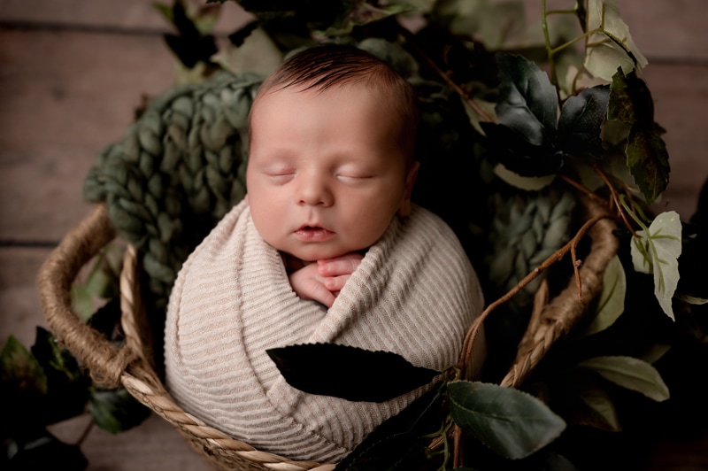 Newborn boy in a basket with greenery. Newborn photos in Morgantown, WV